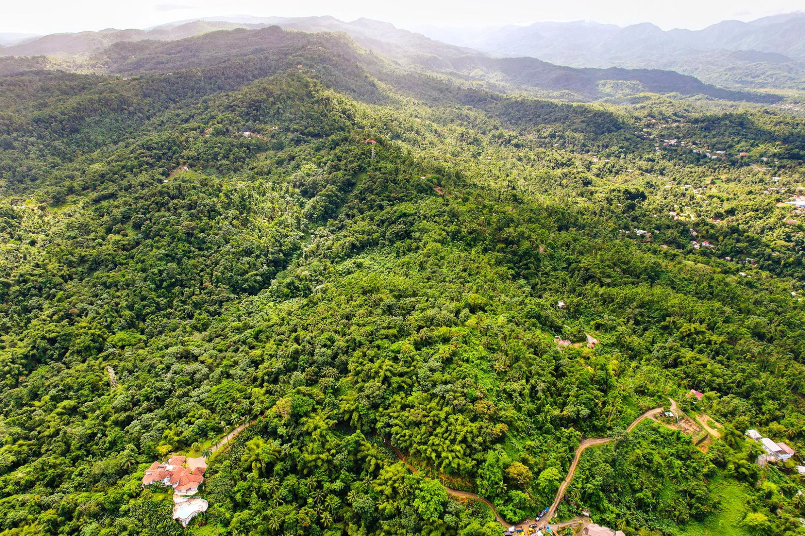 Eighteenth image of Lot 114 Part of Red Hassel in Nonsuch, Portland, Jamaica - property is For Sale