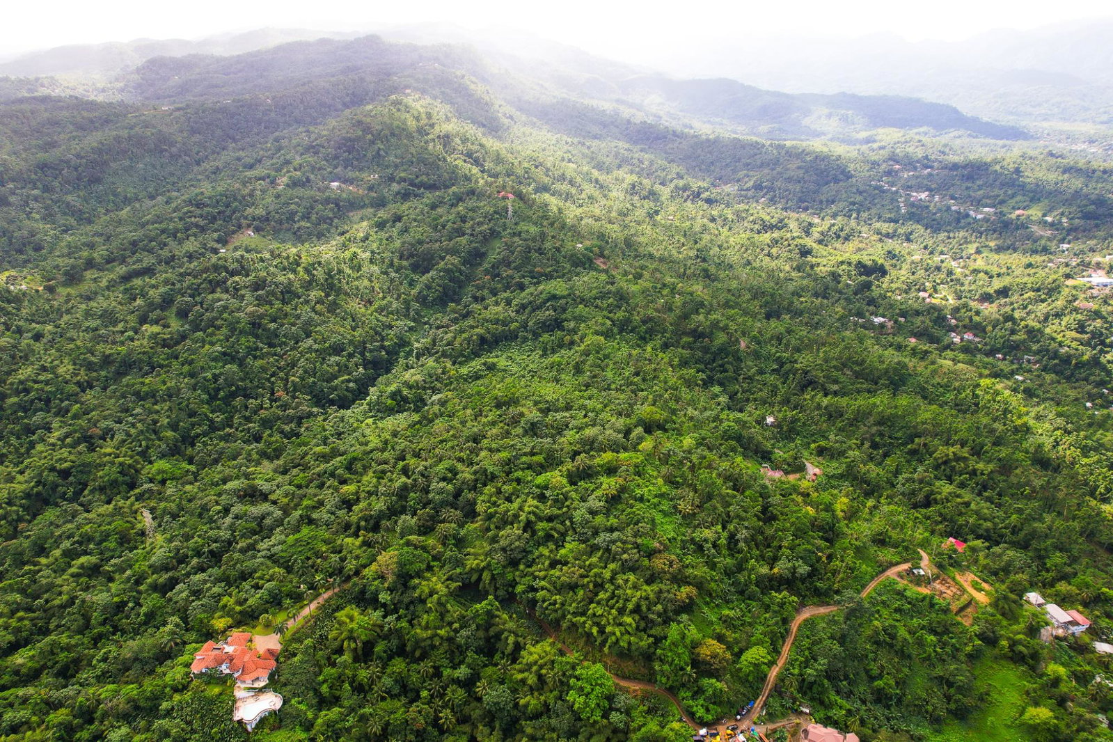 Nineteenth image of Lot 114 Part of Red Hassel in Nonsuch, Portland, Jamaica - property is For Sale