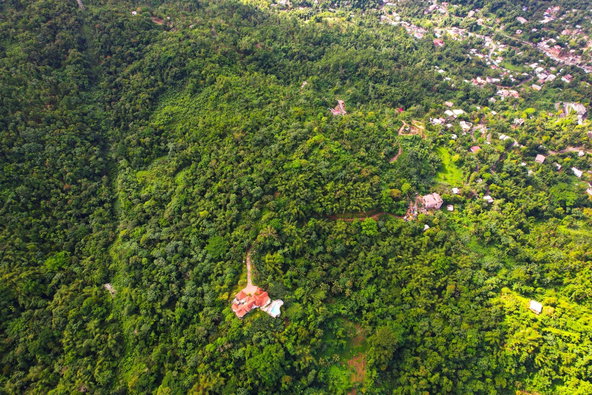 Twentieth image of Lot 114 Part of Red Hassel in Nonsuch, Portland, Jamaica - property is For Sale