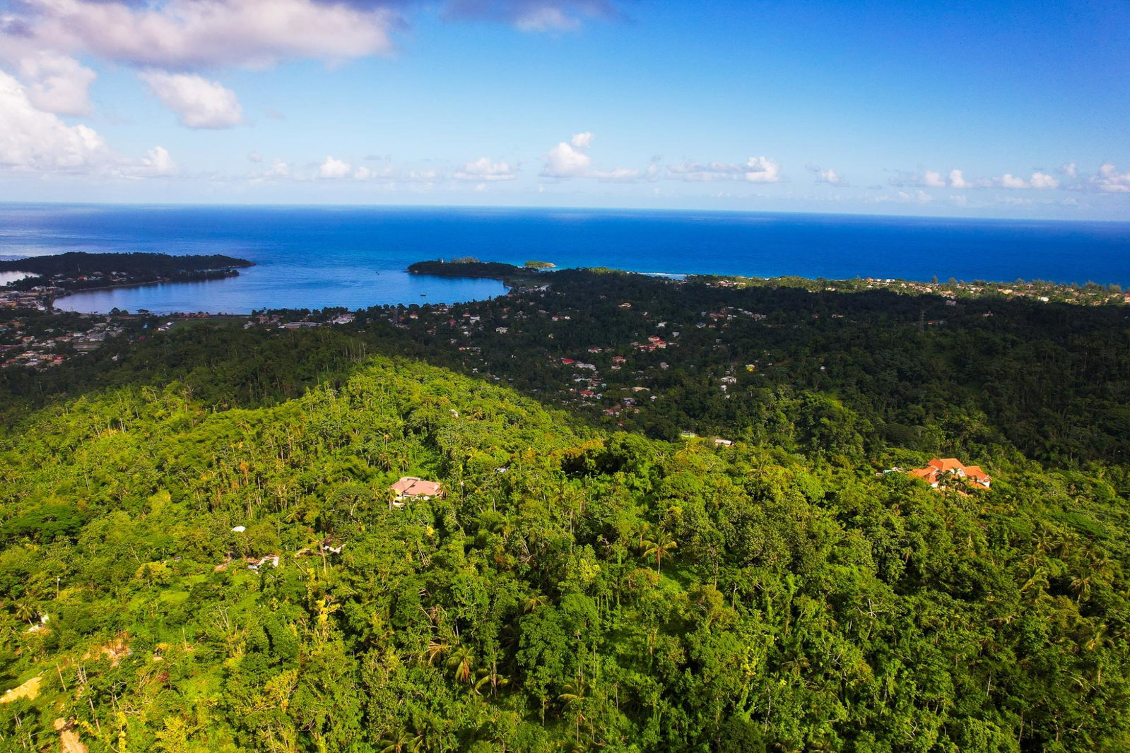 Twenty-Second image of Lot 114 Part of Red Hassel in Nonsuch, Portland, Jamaica - property is For Sale