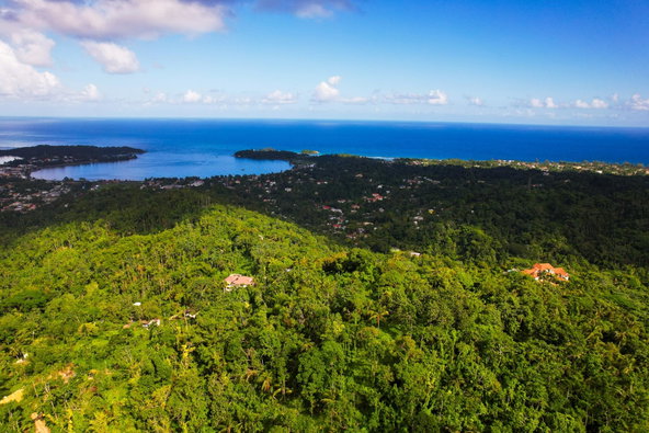 Twenty-Second image of Lot 114 Part of Red Hassel in Nonsuch, Portland, Jamaica - property is For Sale