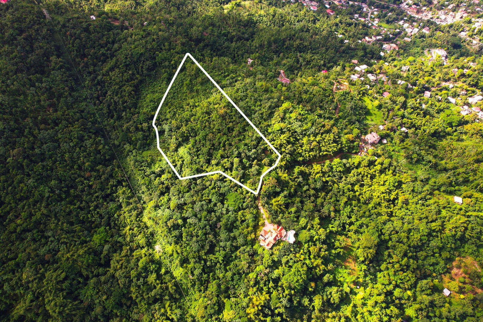 Twenty-Fourth image of Lot 114 Part of Red Hassel in Nonsuch, Portland, Jamaica - property is For Sale