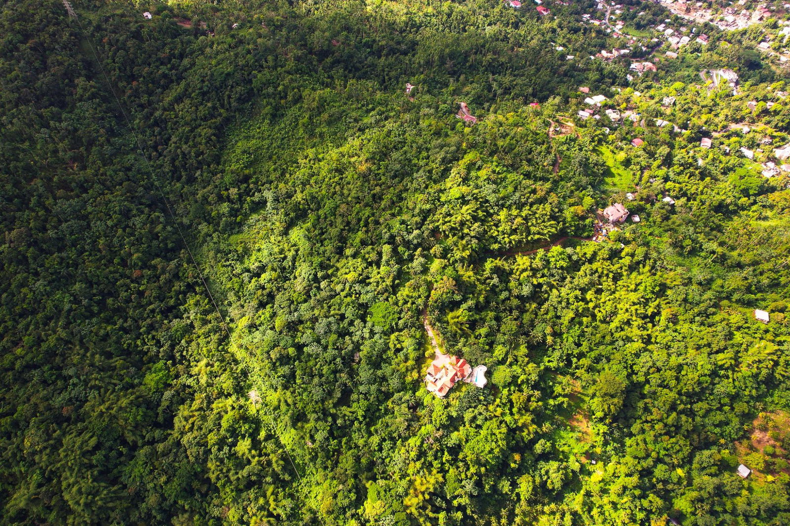 Twenty-Sixth image of Lot 114 Part of Red Hassel in Nonsuch, Portland, Jamaica - property is For Sale