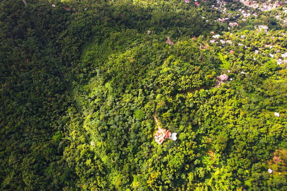 Twenty-Sixth image of Lot 114 Part of Red Hassel in Nonsuch, Portland, Jamaica - property is For Sale