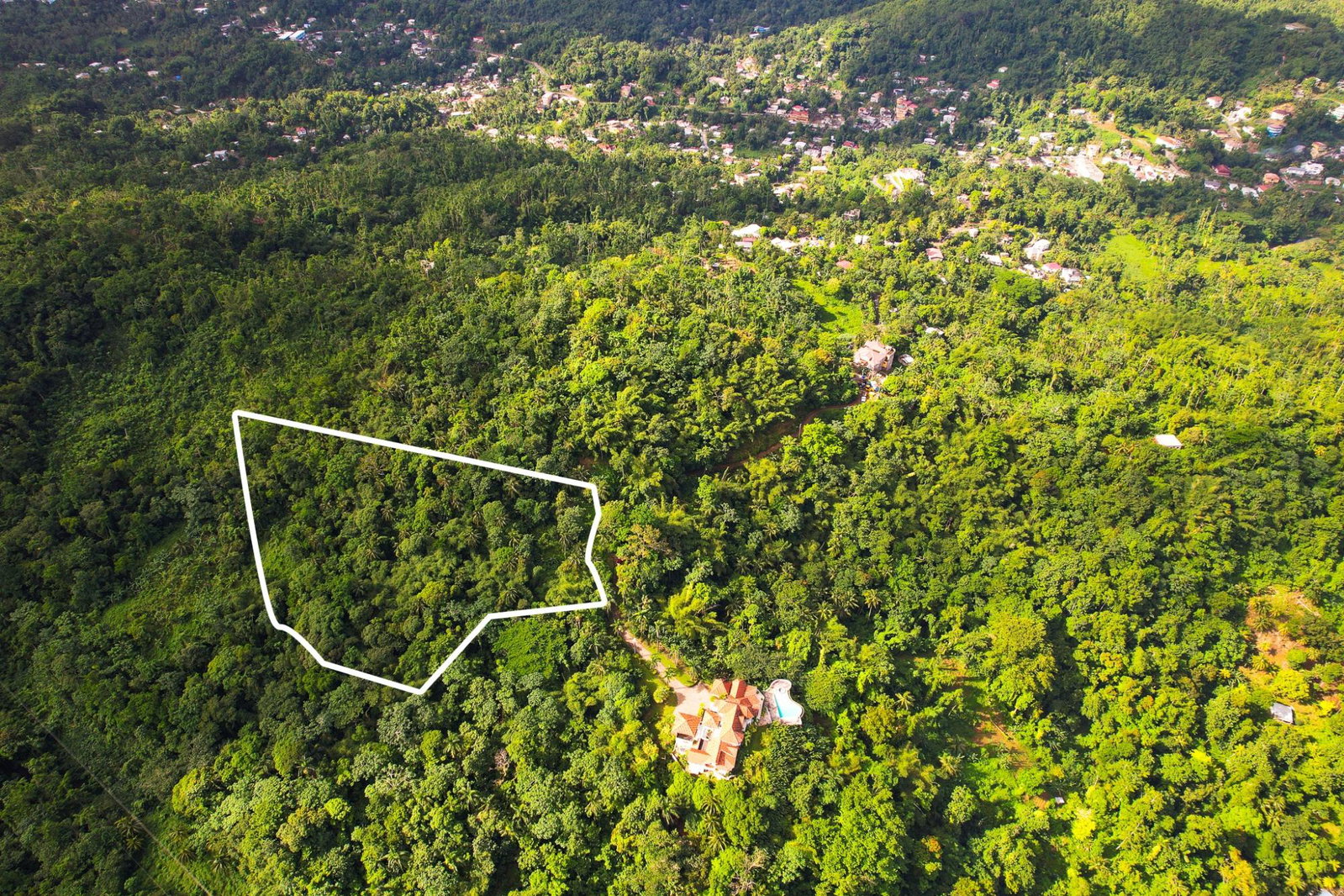 Fifteenth image of Lot 109 Red Hassel in Nonsuch, Portland, Jamaica - property is For Sale