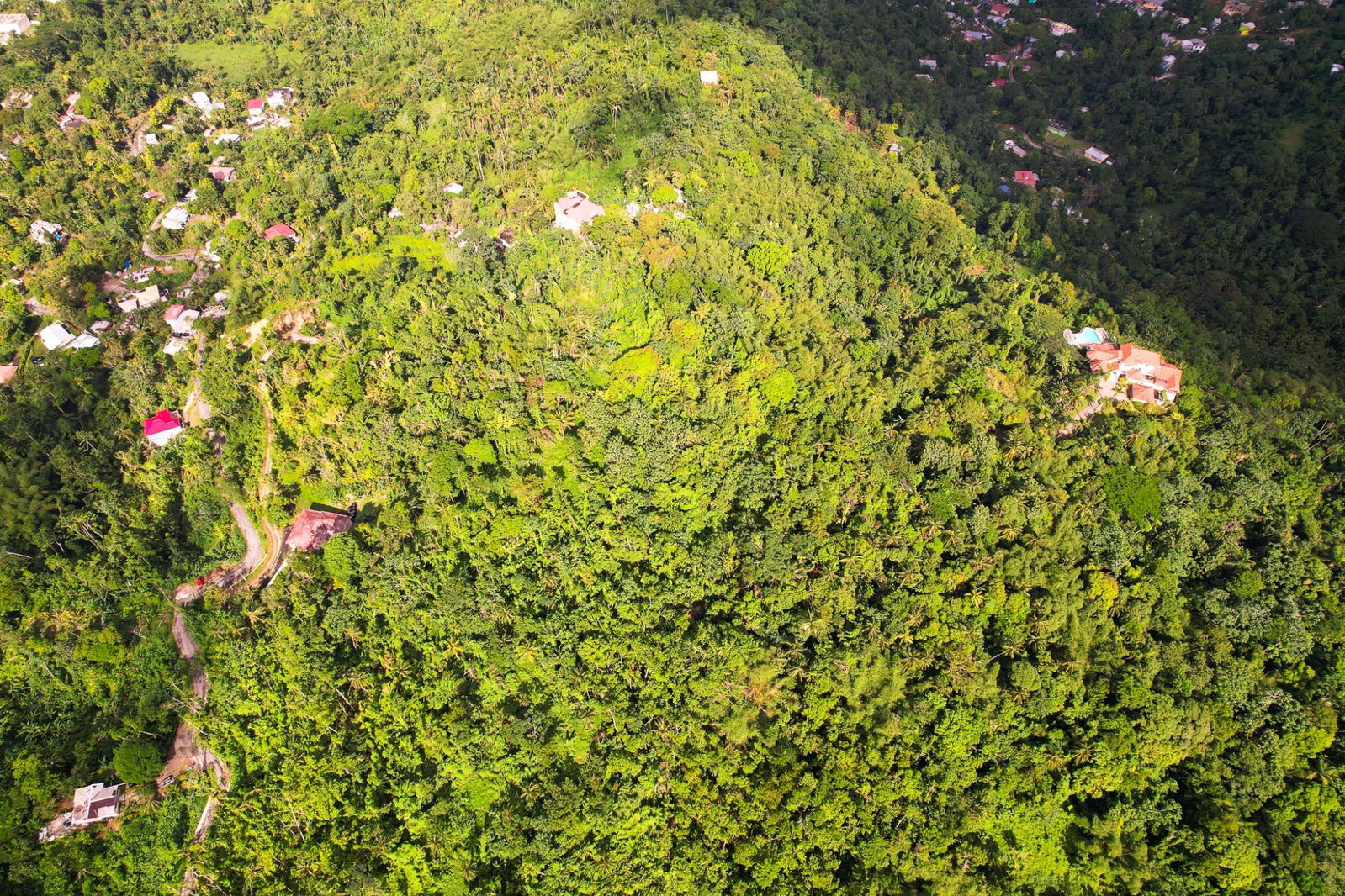 Sixteenth image of Lot 109 Red Hassel in Nonsuch, Portland, Jamaica - property is For Sale