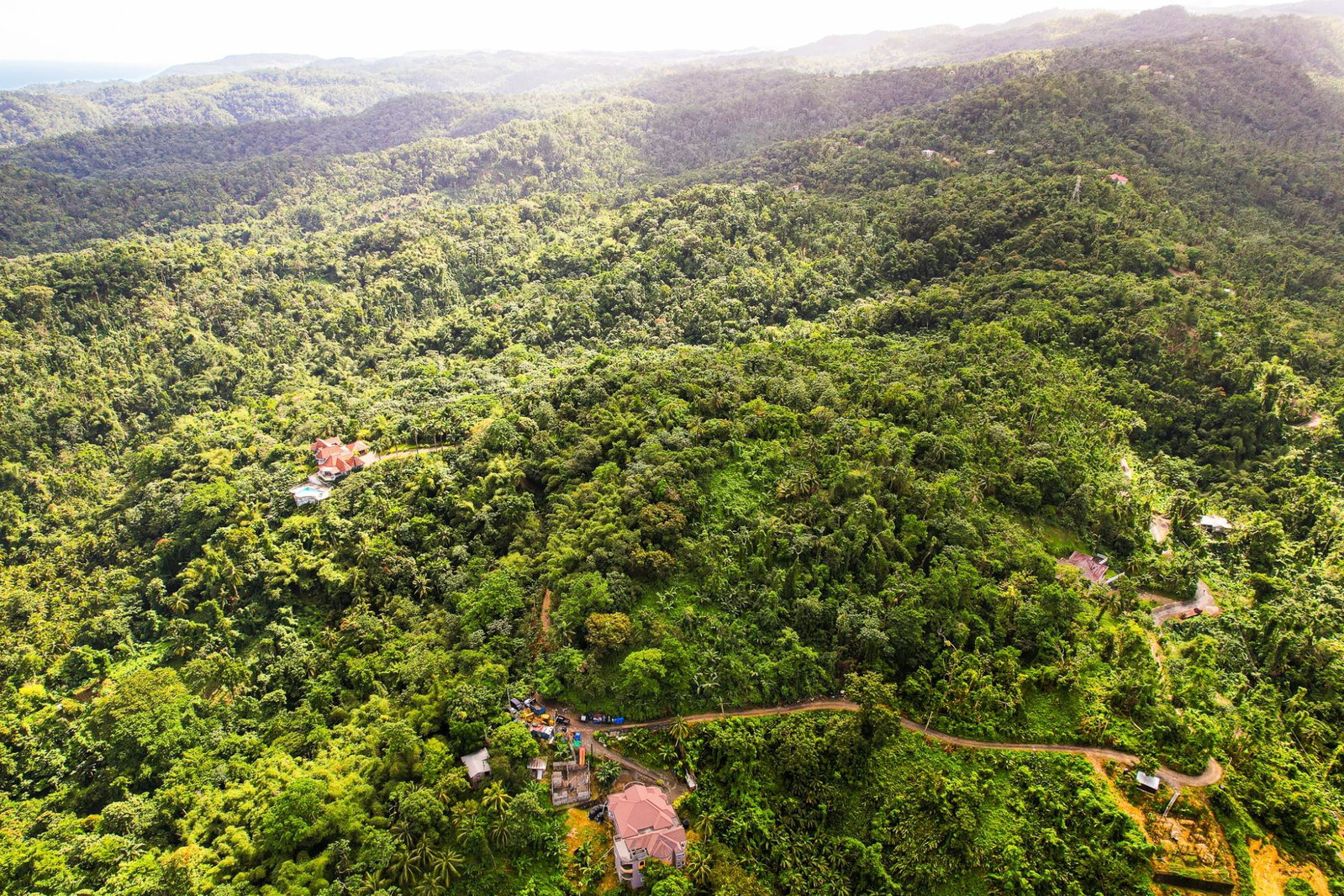 Seventeenth image of Lot 109 Red Hassel in Nonsuch, Portland, Jamaica - property is For Sale