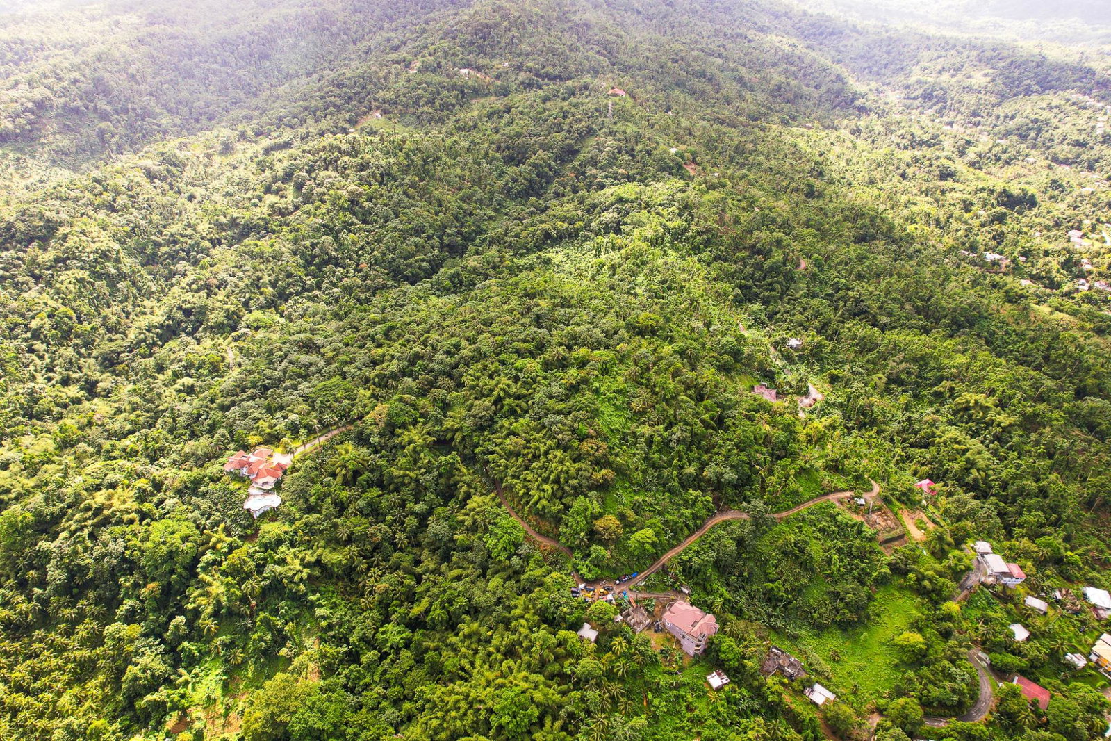 Eighteenth image of Lot 109 Red Hassel in Nonsuch, Portland, Jamaica - property is For Sale