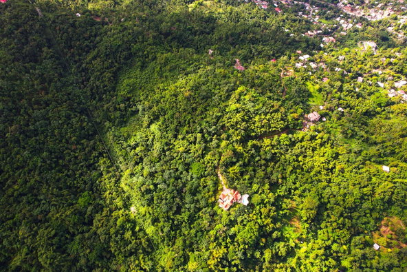 Twenty-Fourth image of Lot 109 Red Hassel in Nonsuch, Portland, Jamaica - property is For Sale