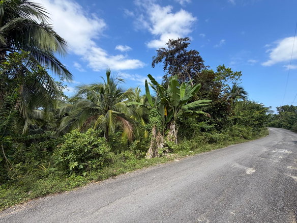 First image of Lot No. 14 Oxford Rd, Free Hill in Free Hill, St. Mary, Jamaica - property is For Sale