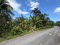 First image of Lot No. 14 Oxford Rd, Free Hill in Free Hill, St. Mary, Jamaica - property is For Sale