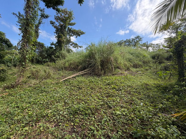 Third image of Lot No. 14 Oxford Rd, Free Hill in Free Hill, St. Mary, Jamaica - property is For Sale