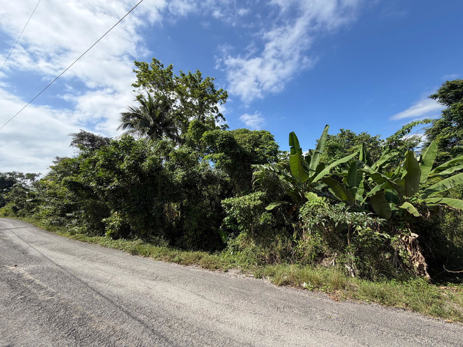 Fourth image of Lot No. 14 Oxford Rd, Free Hill in Free Hill, St. Mary, Jamaica - property is For Sale