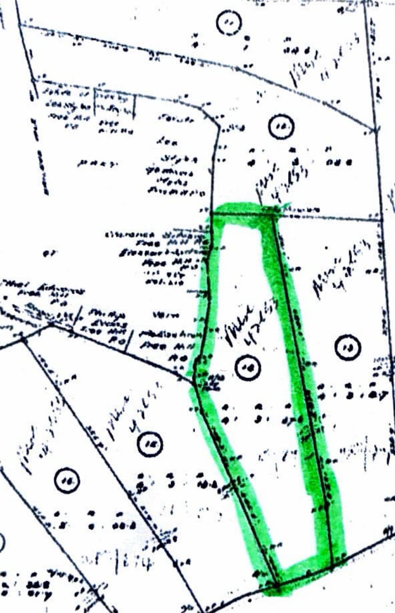 Sixth image of Lot No. 14 Oxford Rd, Free Hill in Free Hill, St. Mary, Jamaica - property is For Sale