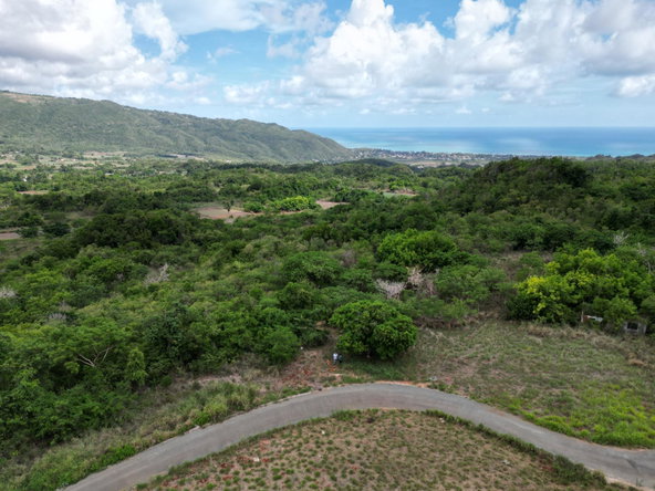 Tenth image of Comma Pen in Comma Pen, St. Elizabeth, Jamaica - property is For Sale