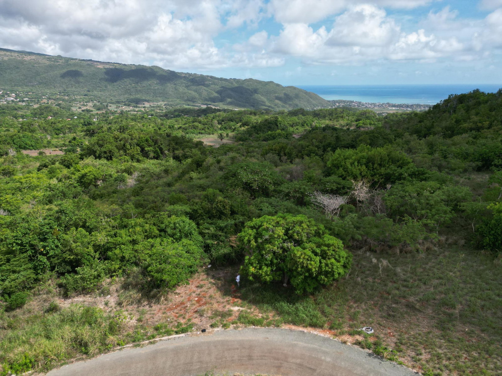 Fourth image of Comma Pen in Comma Pen, St. Elizabeth, Jamaica - property is For Sale