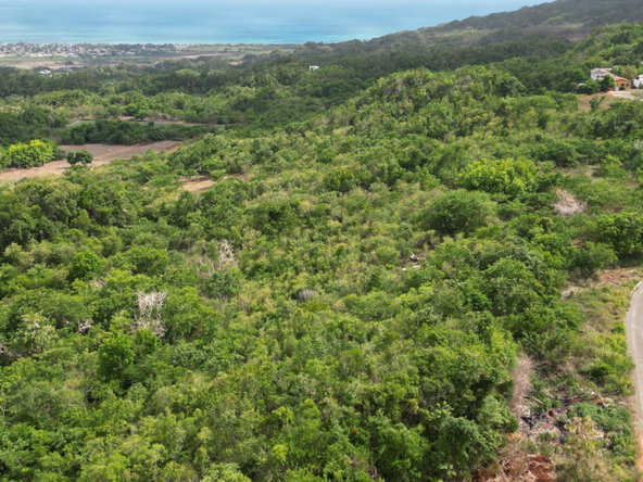 Sixth image of Comma Pen in Comma Pen, St. Elizabeth, Jamaica - property is For Sale