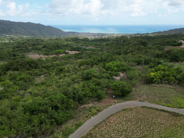 Eighth image of Comma Pen in Comma Pen, St. Elizabeth, Jamaica - property is For Sale
