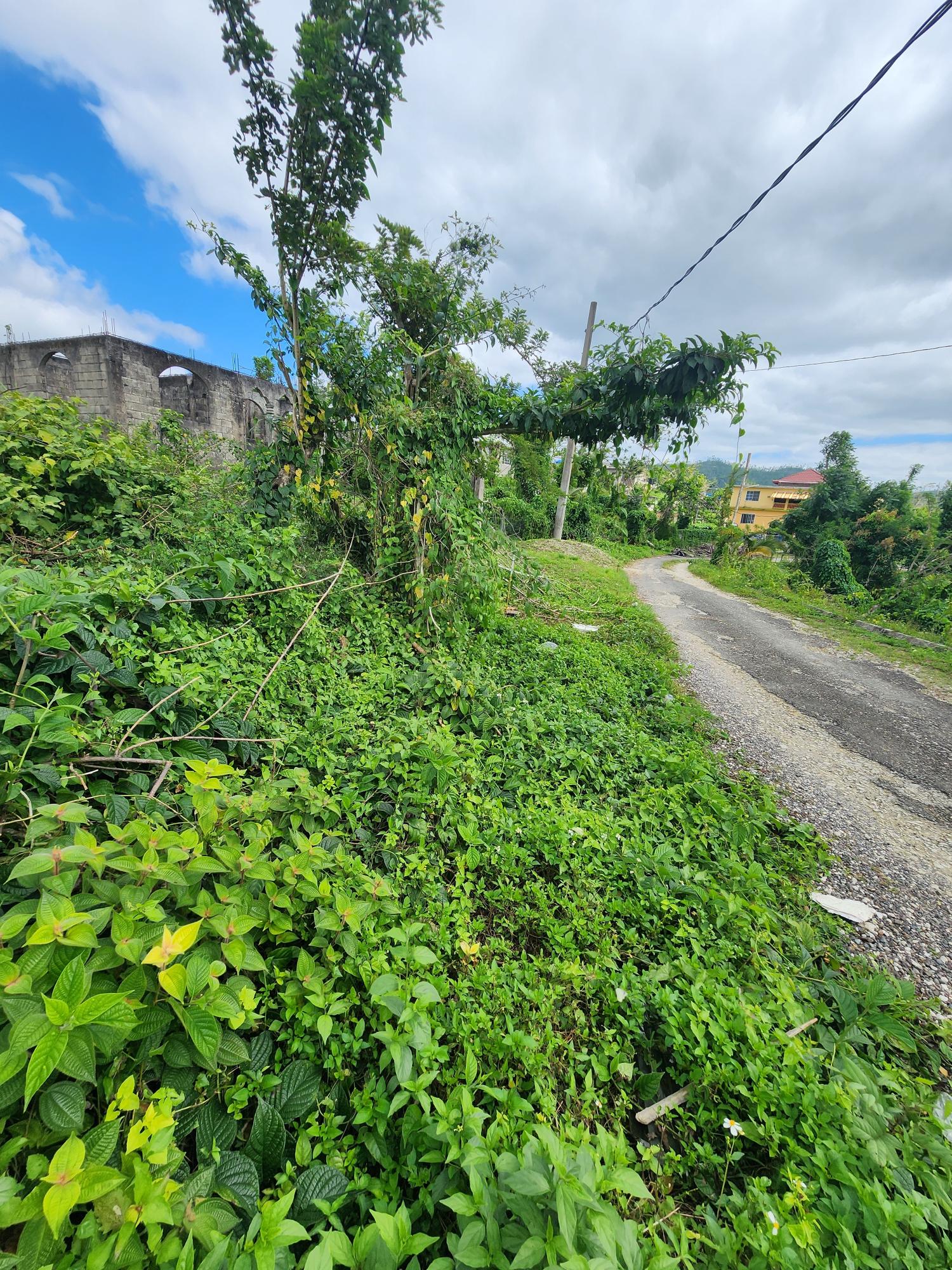 First image of 230 Hermitage, Bethel Town in Bethel Town, Westmoreland, Jamaica - property is For Sale
