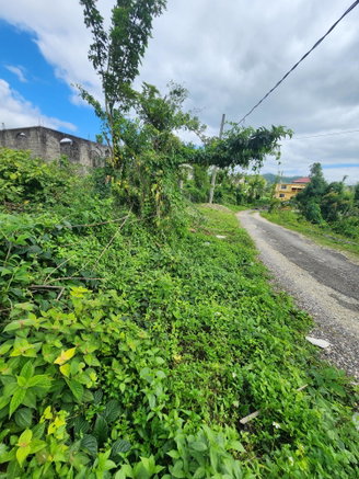 First image of 230 Hermitage, Bethel Town in Bethel Town, Westmoreland, Jamaica - property is For Sale