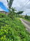 First image of 230 Hermitage, Bethel Town in Bethel Town, Westmoreland, Jamaica - property is For Sale