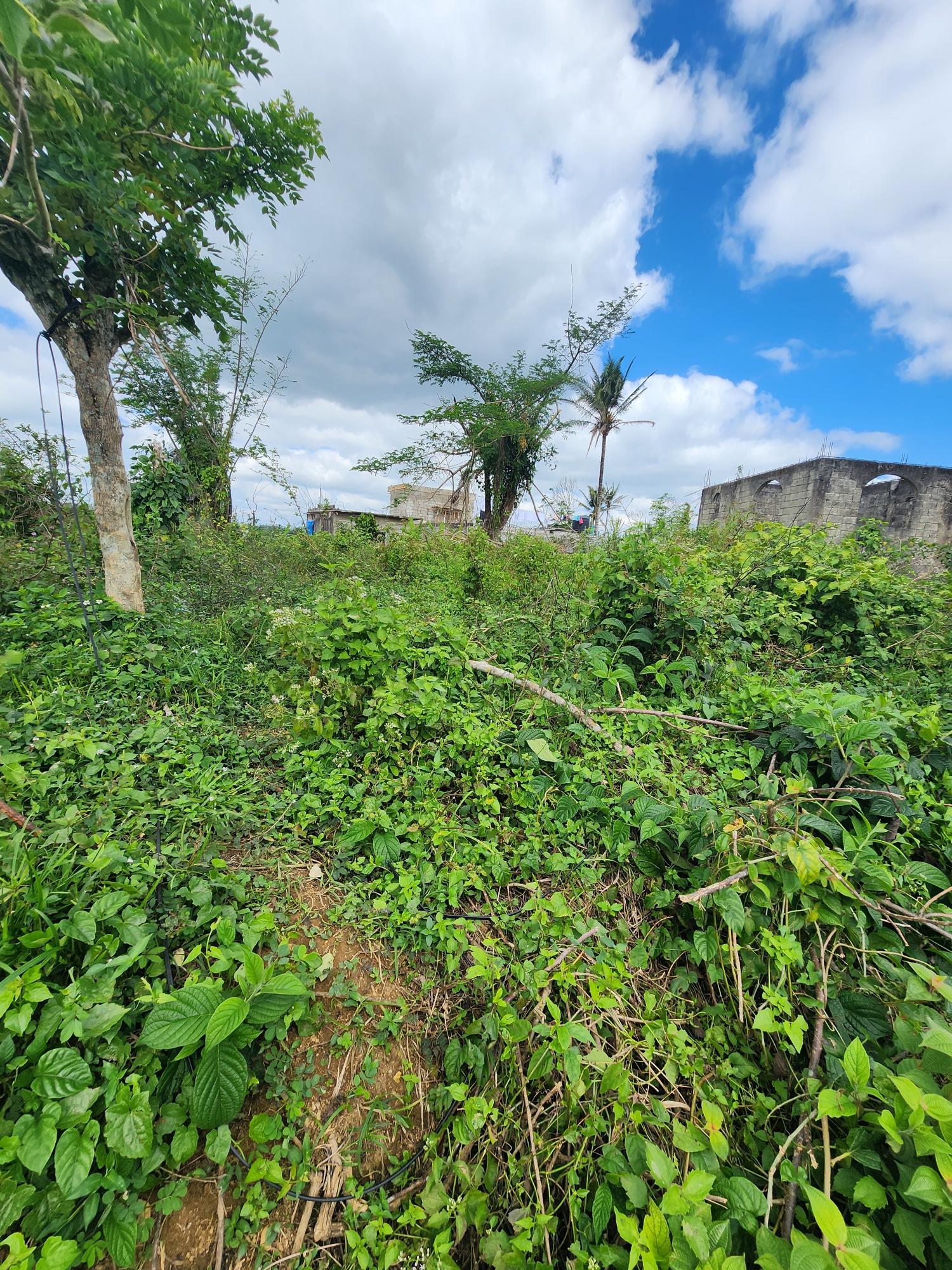 Second image of 230 Hermitage, Bethel Town in Bethel Town, Westmoreland, Jamaica - property is For Sale
