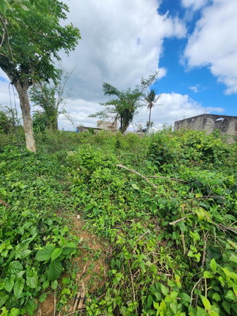 Second image of 230 Hermitage, Bethel Town in Bethel Town, Westmoreland, Jamaica - property is For Sale
