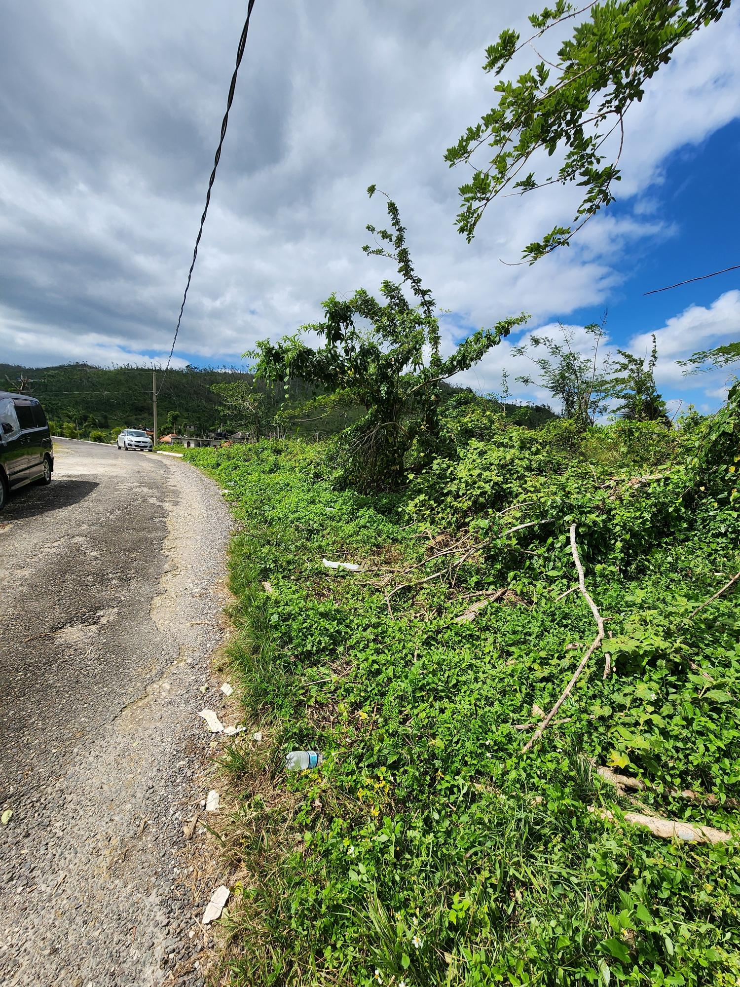Third image of 230 Hermitage, Bethel Town in Bethel Town, Westmoreland, Jamaica - property is For Sale
