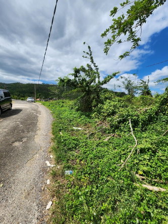 Third image of 230 Hermitage, Bethel Town in Bethel Town, Westmoreland, Jamaica - property is For Sale