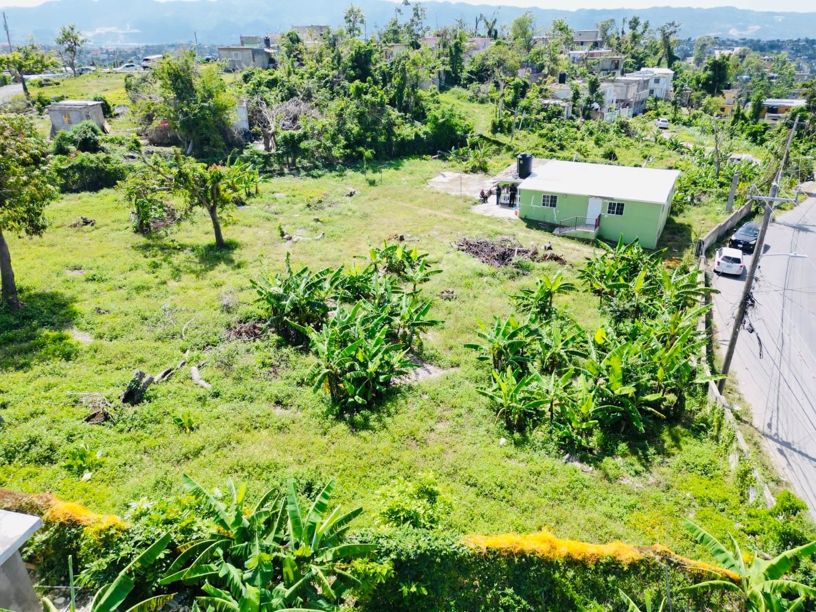 First image of Lammie Lane, St. James in Montego Heights, St. James, Jamaica - property is For Sale