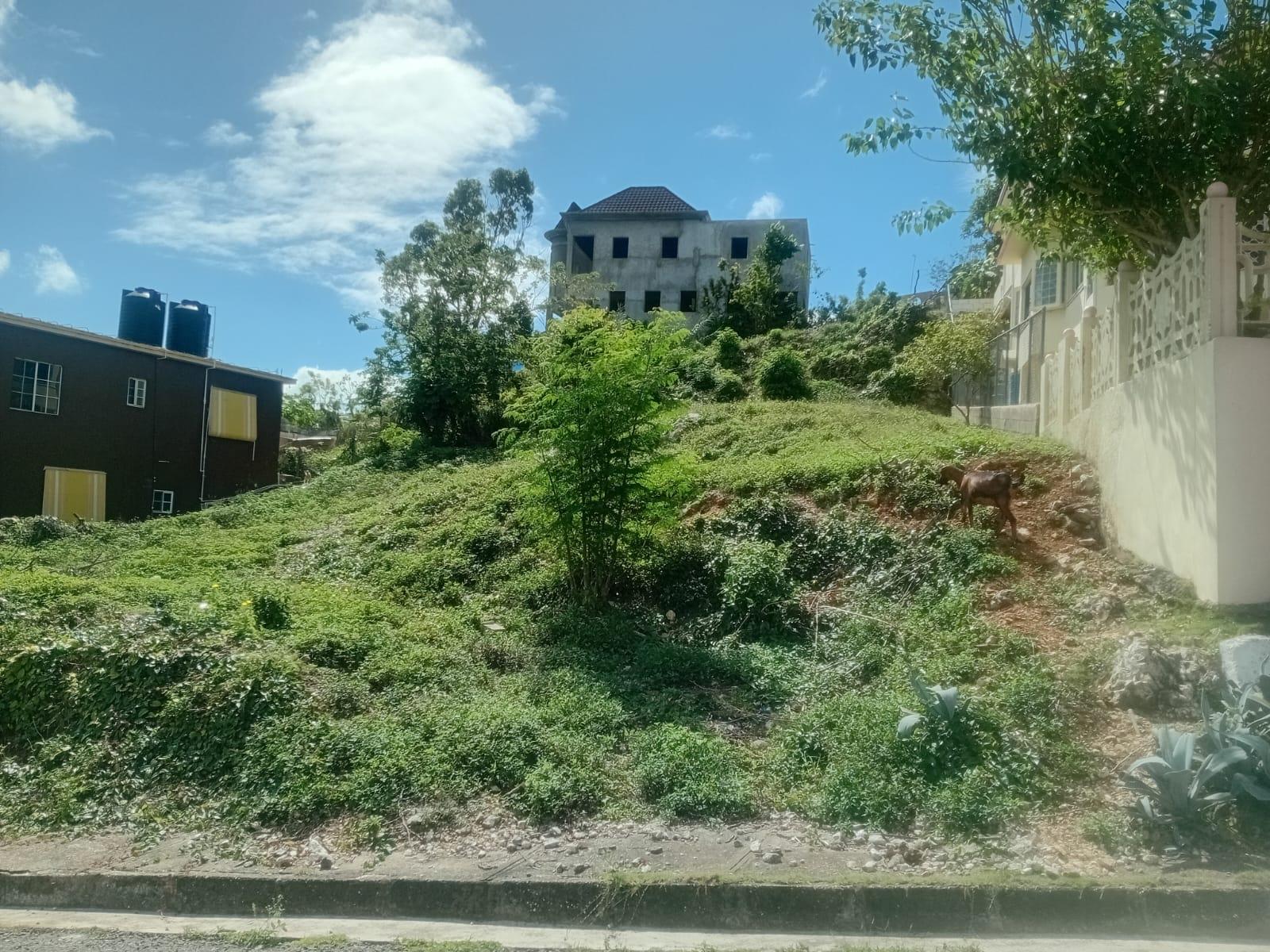 Third image of Lot 289 Orchard Terrace, Melrose in Melrose, Manchester, Jamaica - property is For Sale