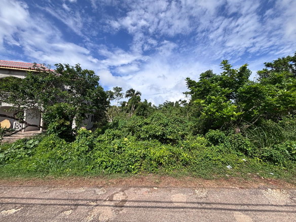 First image of Three Hills in Retreat, St. Mary, Jamaica - property is For Sale