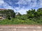 First image of Three Hills in Retreat, St. Mary, Jamaica - property is For Sale