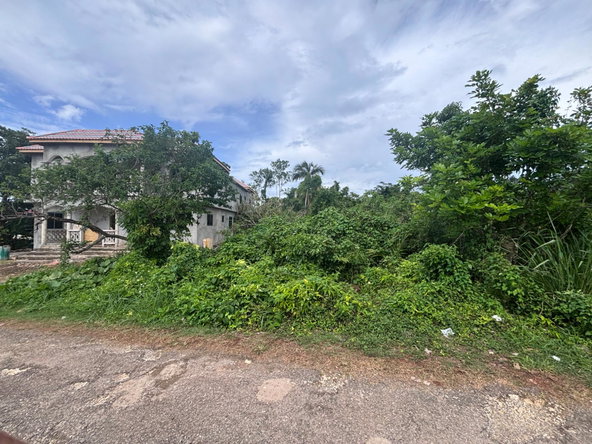Second image of Three Hills in Retreat, St. Mary, Jamaica - property is For Sale