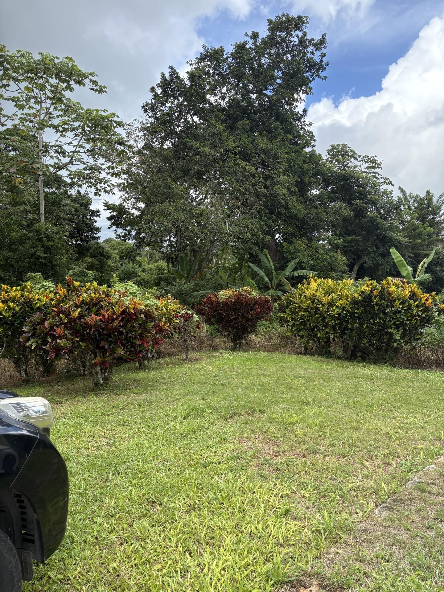 First image of Lot No. 1- Sunset & Palm Road in Knockpatirck, Manchester, Jamaica - property is For Sale