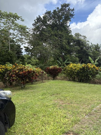 First image of Lot No. 1- Sunset & Palm Road in Knockpatirck, Manchester, Jamaica - property is For Sale