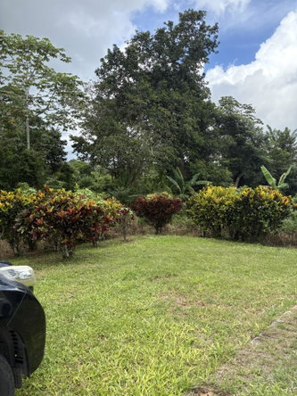 First image of Lot No. 1- Sunset & Palm Road in Knockpatirck, Manchester, Jamaica - property is For Sale
