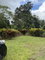 First image of Lot No. 1- Sunset & Palm Road in Knockpatirck, Manchester, Jamaica - property is For Sale