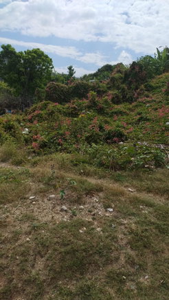First image of 11 Mile Bull Bay in Bull Bay P.O., St. Andrew, Jamaica - property is For Sale