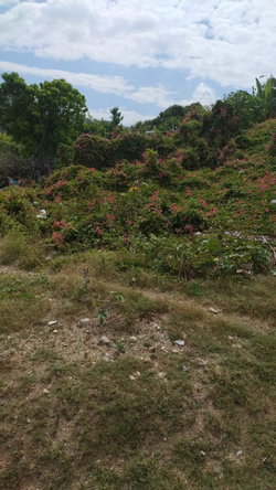 Third image of 11 Mile Bull Bay in Bull Bay P.O., St. Andrew, Jamaica - property is For Sale