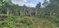 First image of Three Hill in Three Hills, St. Mary, Jamaica - property is For Sale