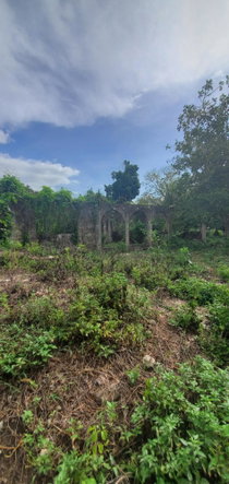 Second image of Three Hill in Three Hills, St. Mary, Jamaica - property is For Sale