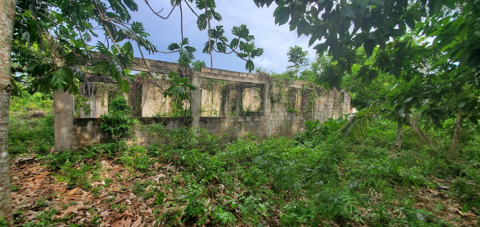 Fifth image of Three Hill in Three Hills, St. Mary, Jamaica - property is For Sale