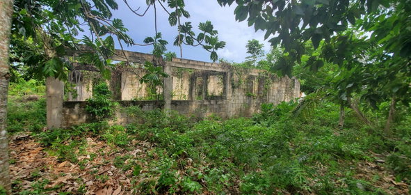 Fifth image of Three Hill in Three Hills, St. Mary, Jamaica - property is For Sale