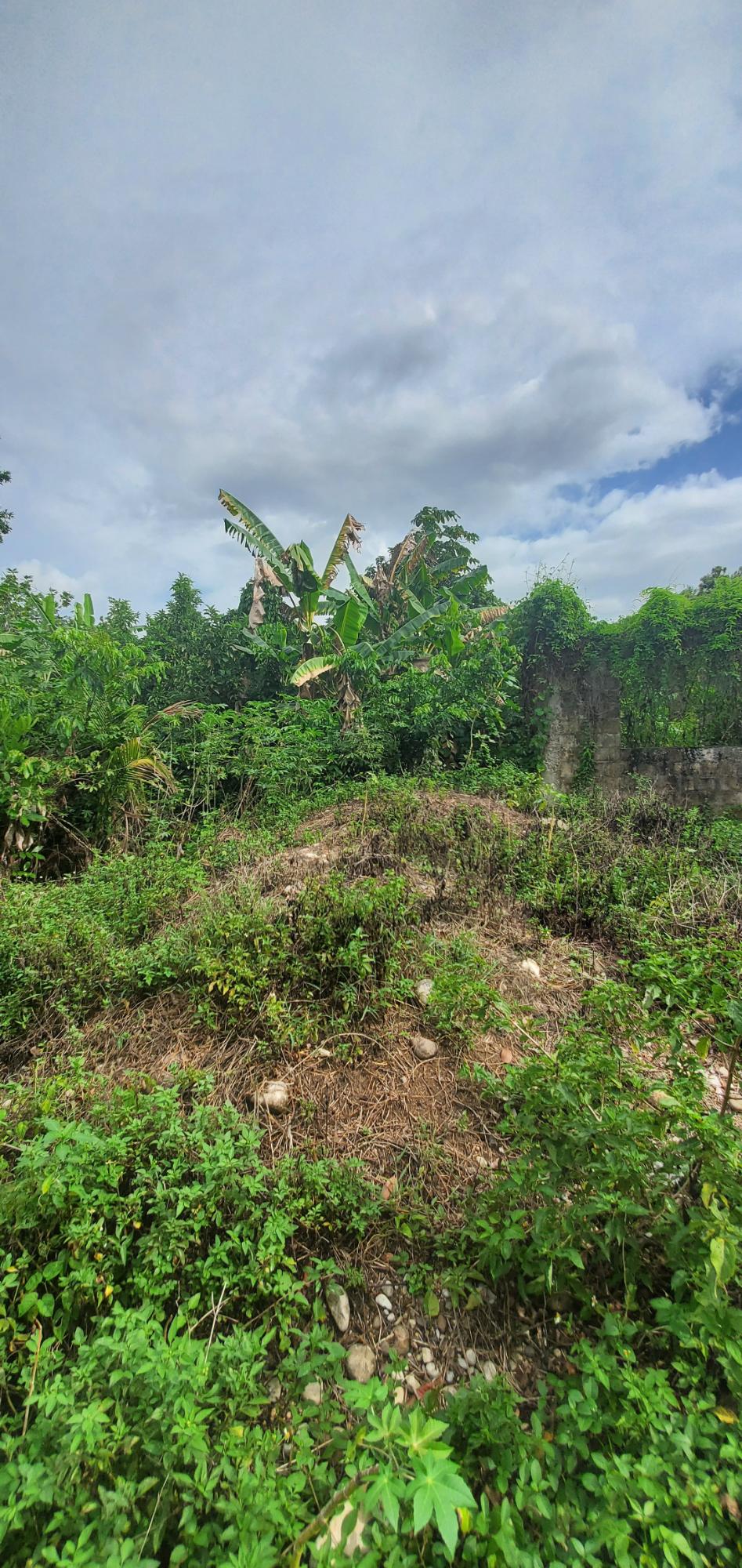 Seventh image of Three Hill in Three Hills, St. Mary, Jamaica - property is For Sale