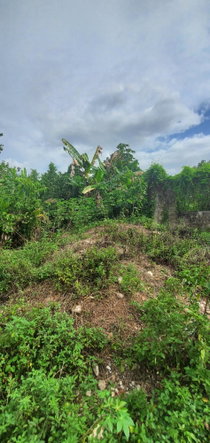 Seventh image of Three Hill in Three Hills, St. Mary, Jamaica - property is For Sale