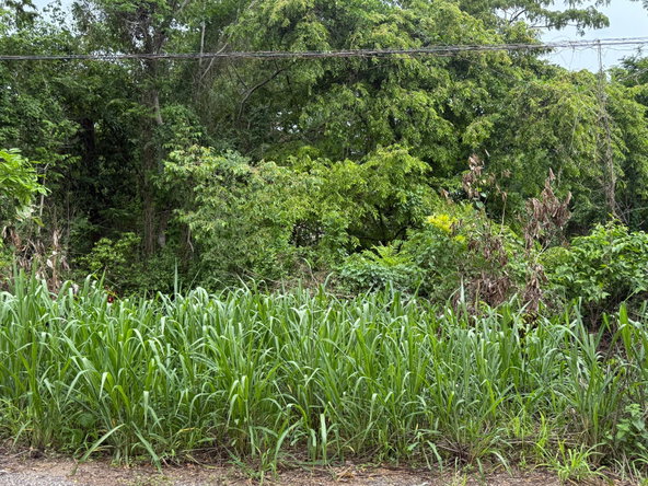 Third image of Lot-12 Byndloss in Byndloss, St. Catherine, Jamaica - property is For Sale