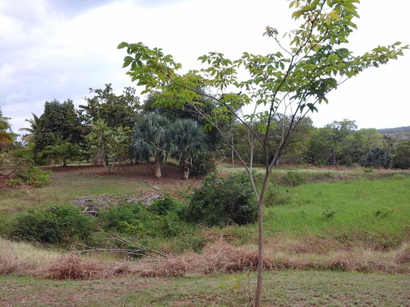 Tenth image of Fyffes Pen in Black River, St. Elizabeth, Jamaica - property is For Sale