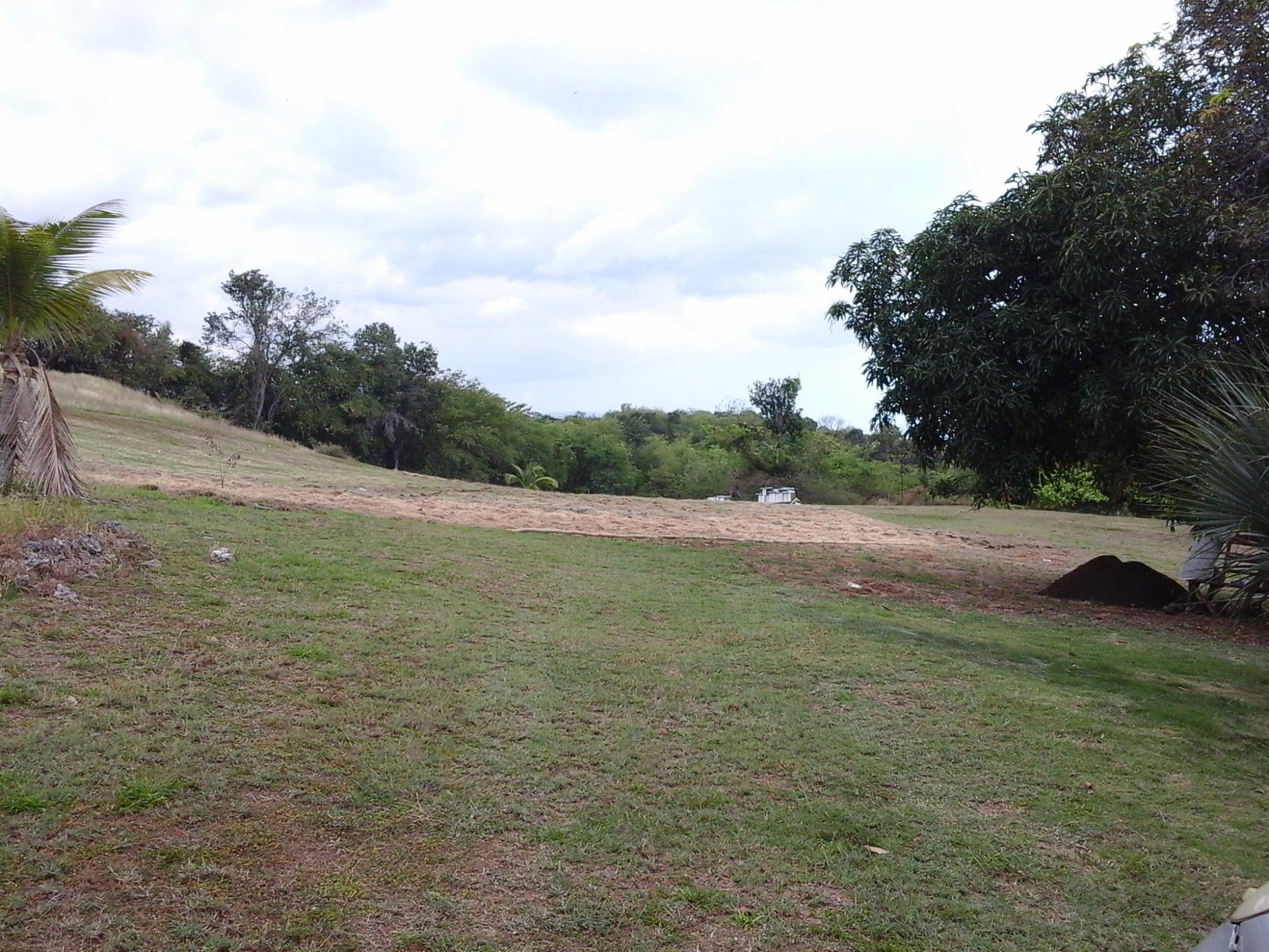 Fourteenth image of Fyffes Pen in Black River, St. Elizabeth, Jamaica - property is For Sale
