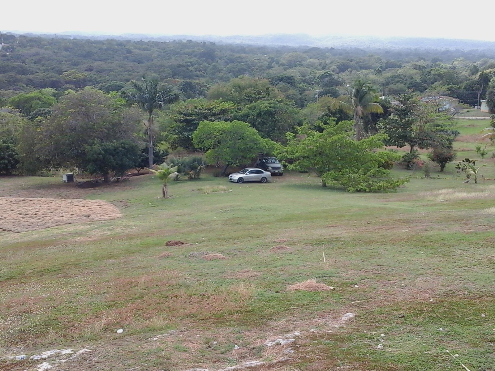 Seventeenth image of Fyffes Pen in Black River, St. Elizabeth, Jamaica - property is For Sale